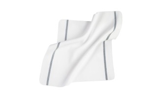 Carolina Napkin White Blue