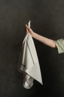 Carolina Napkin White Blue