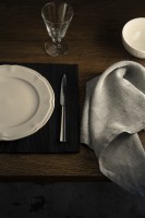 Emilia Napkin Seed Gray