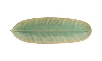 Marrakesh Banana Leaf Eucalyptus