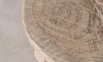 Camphora Vintage Chair