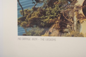 The Vxsxons:09 Poster