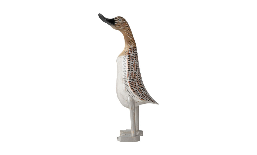 Duck Straight Looking