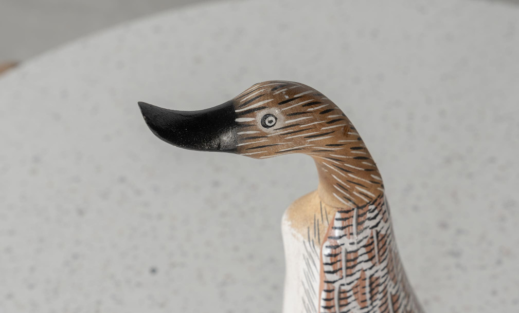 Duck Straight Looking