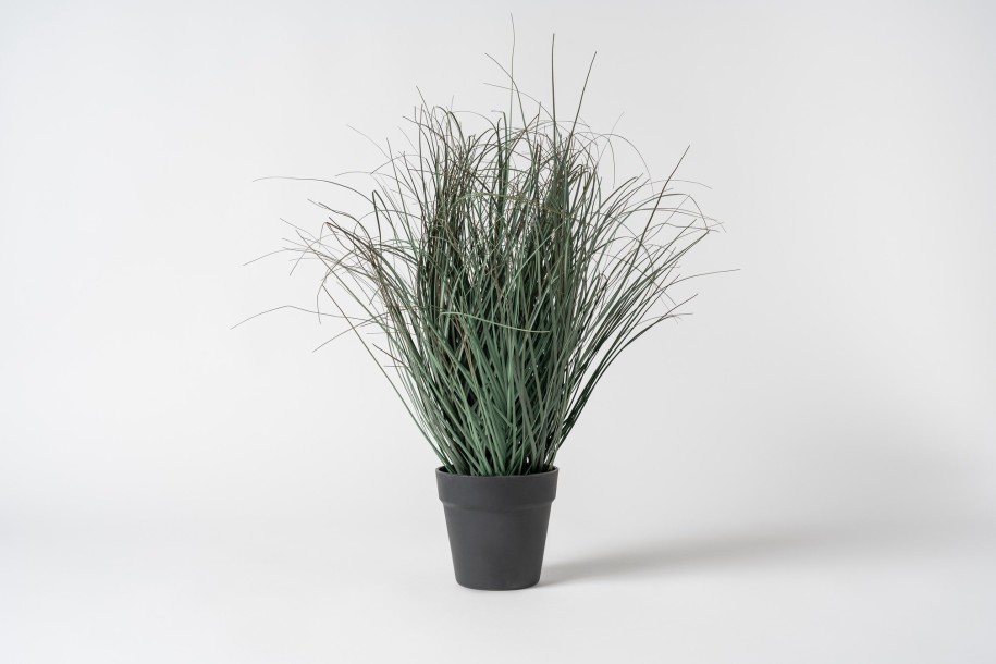 Artificial Grass in pot S size H43 cm