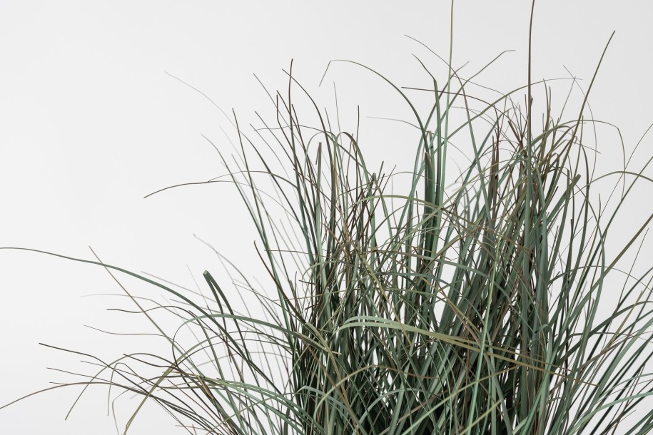 Artificial Grass in pot S size H43 cm
