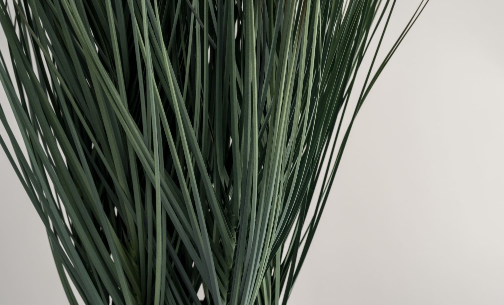 Artificial Grass in pot L size H83 cm