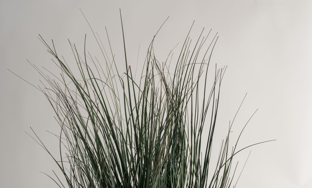 Artificial Grass in pot L size H83 cm