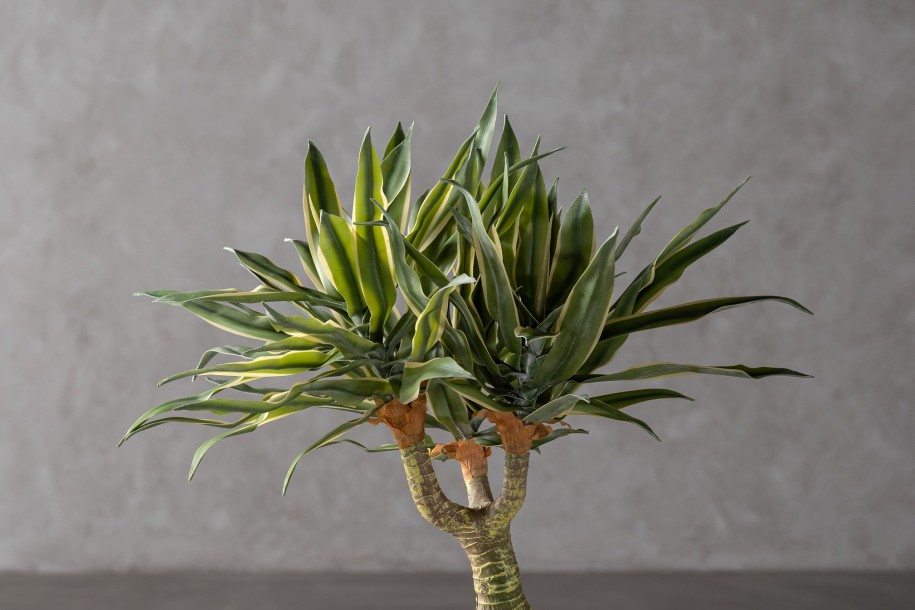Artificial Agave Tree H155 cm