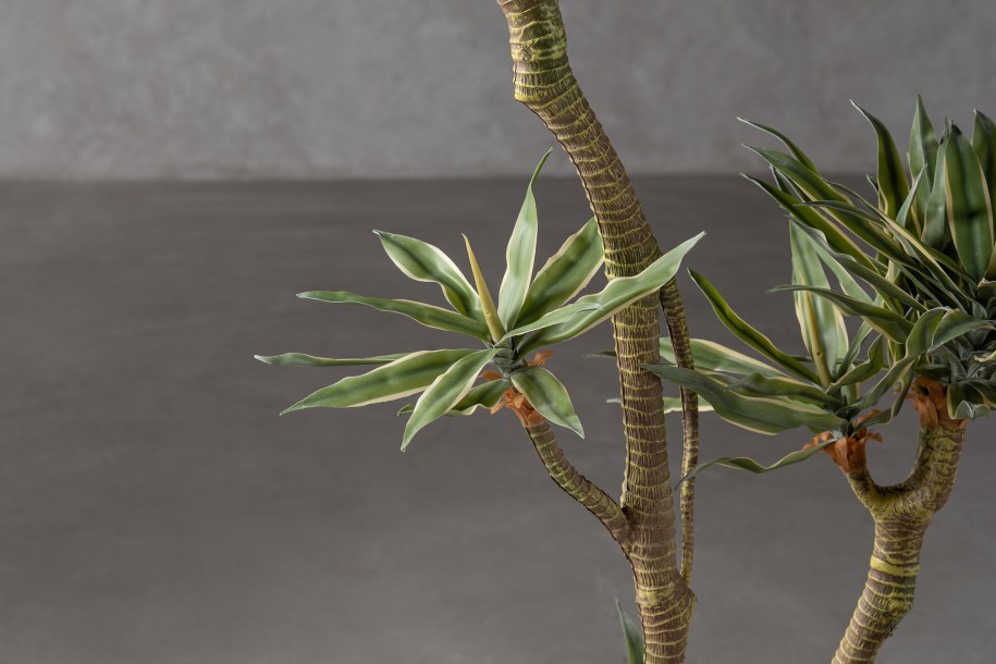 Artificial Agave Tree H155 cm