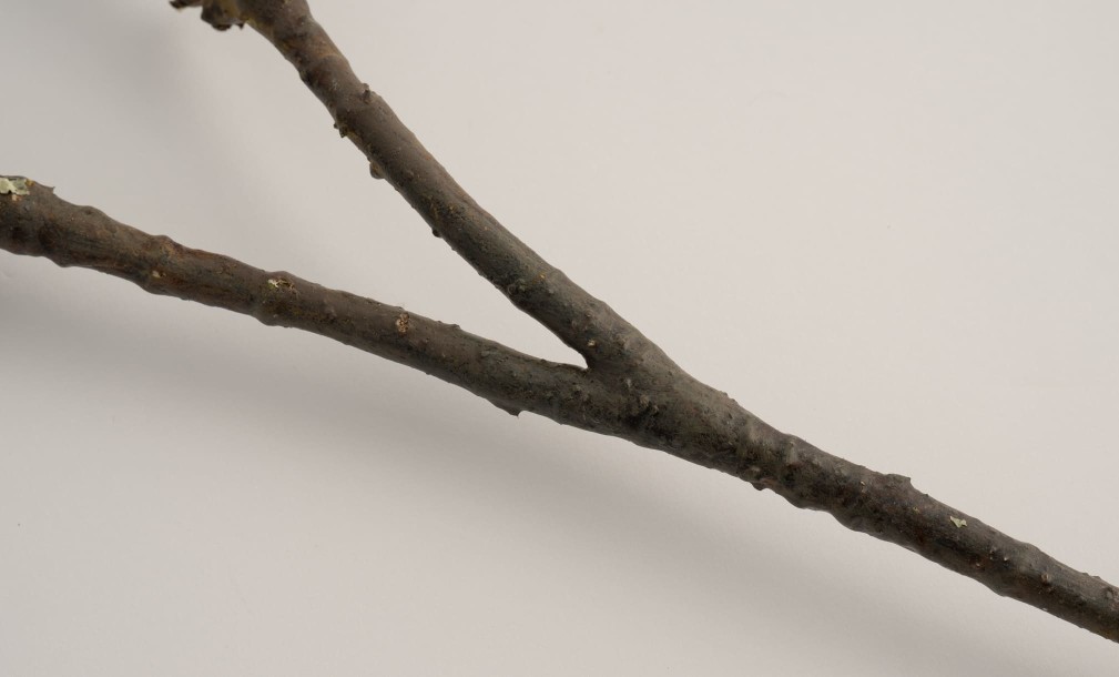 Artificial Kapok Tree Branch H90cm