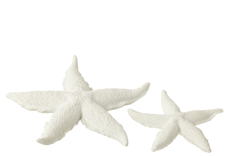 White Starfish Polyresin L