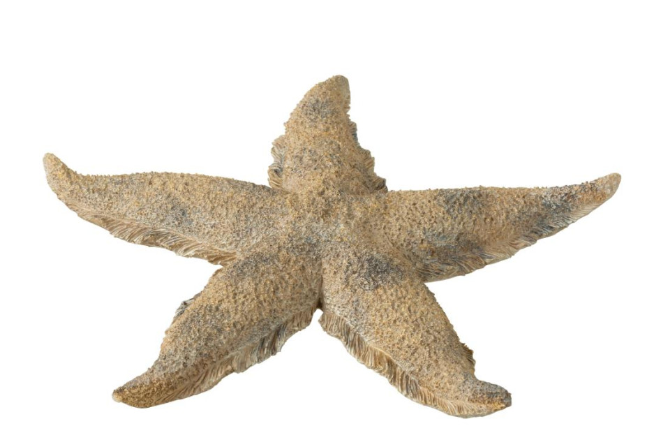 Starfish Polyresin Br/Go L