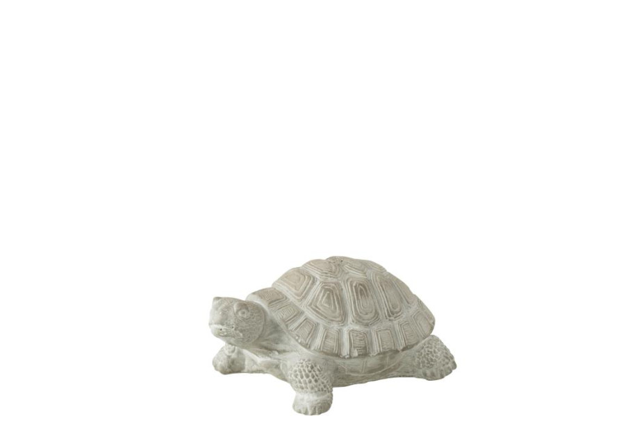 Turtle Gray S