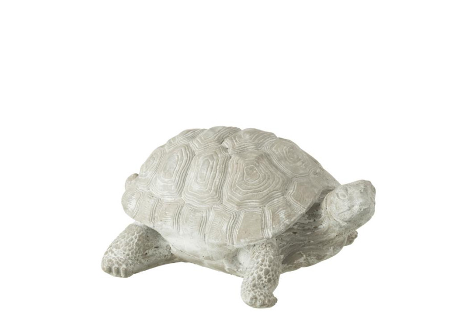 Turtle Gray L