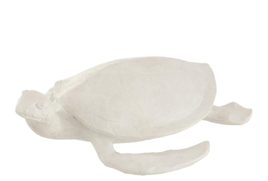 Turtle White L