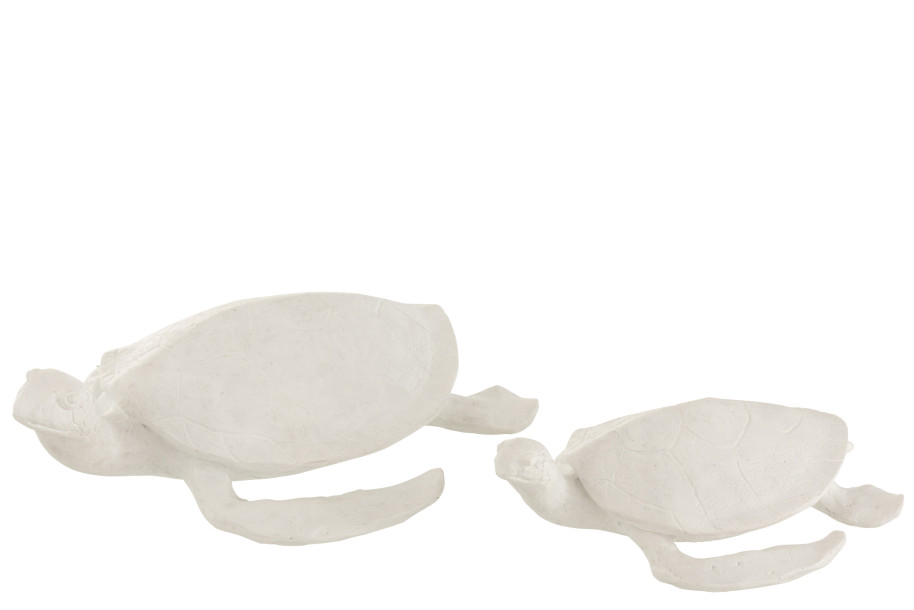 Turtle White L