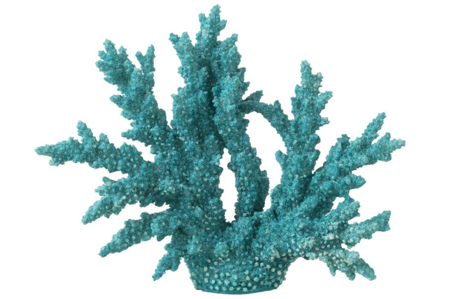 Coral Polyresin Azure XL