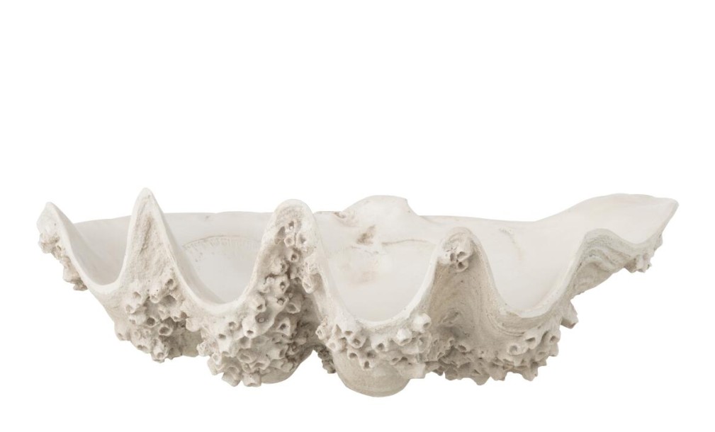 Seashell Decorative Bowl Off-White S