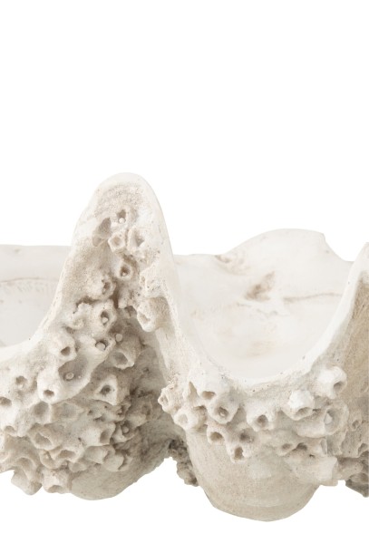 Seashell Decorative Bowl Off-White S