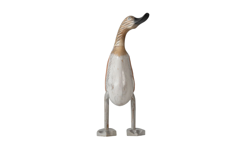 Duck Right Looking