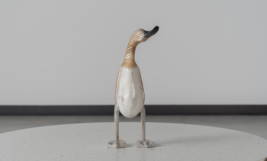 Duck Right Looking