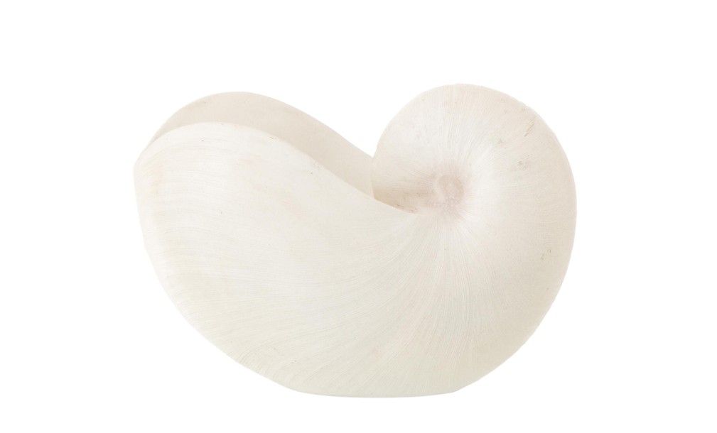 Shell White (31X16,5X21,5Cm)