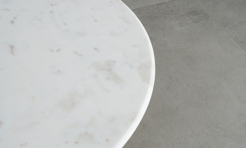 Ridd Marble Top Coffee Table