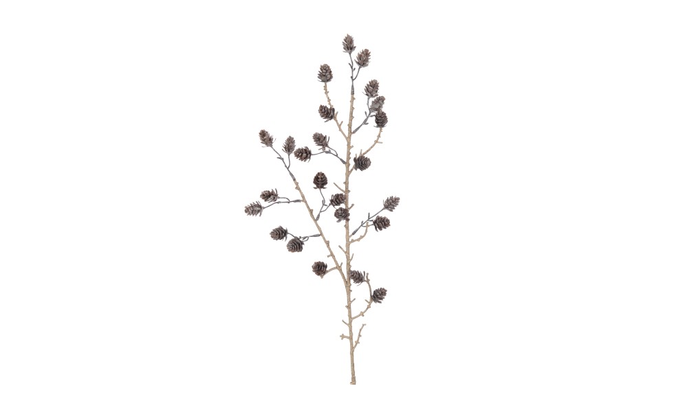 Branch Pine Cones