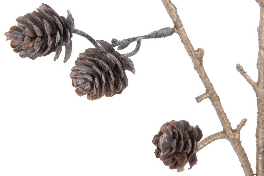 Branch Pine Cones