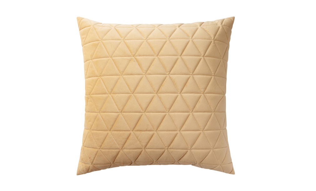 Fortune Cushion