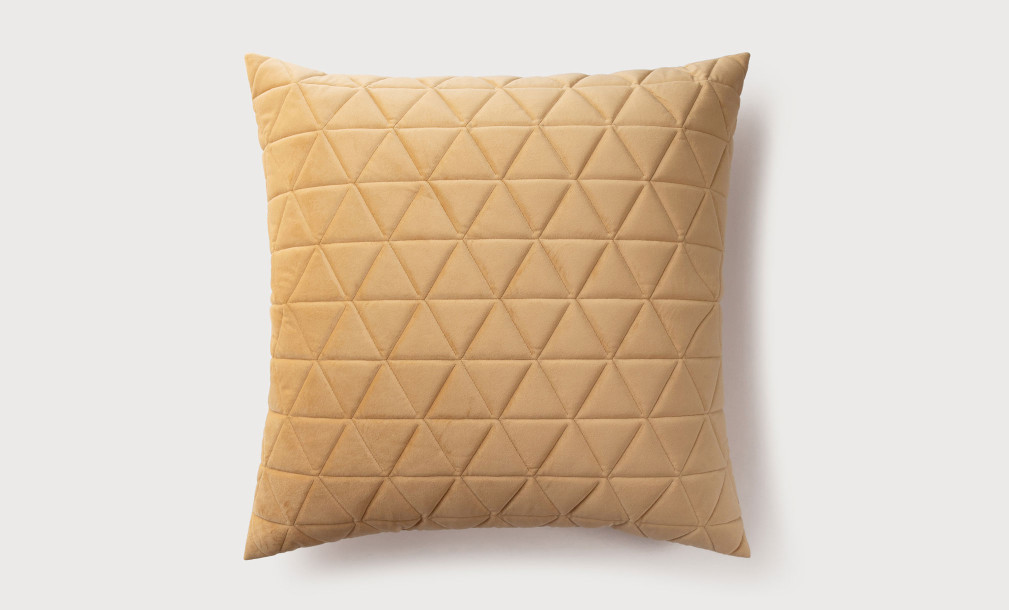 Fortune Cushion