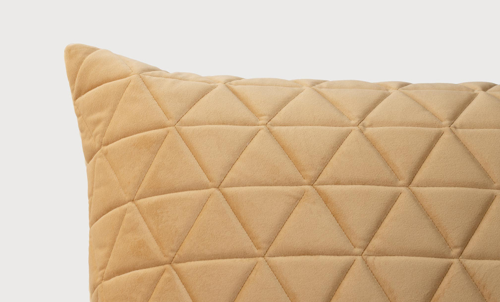 Fortune Cushion