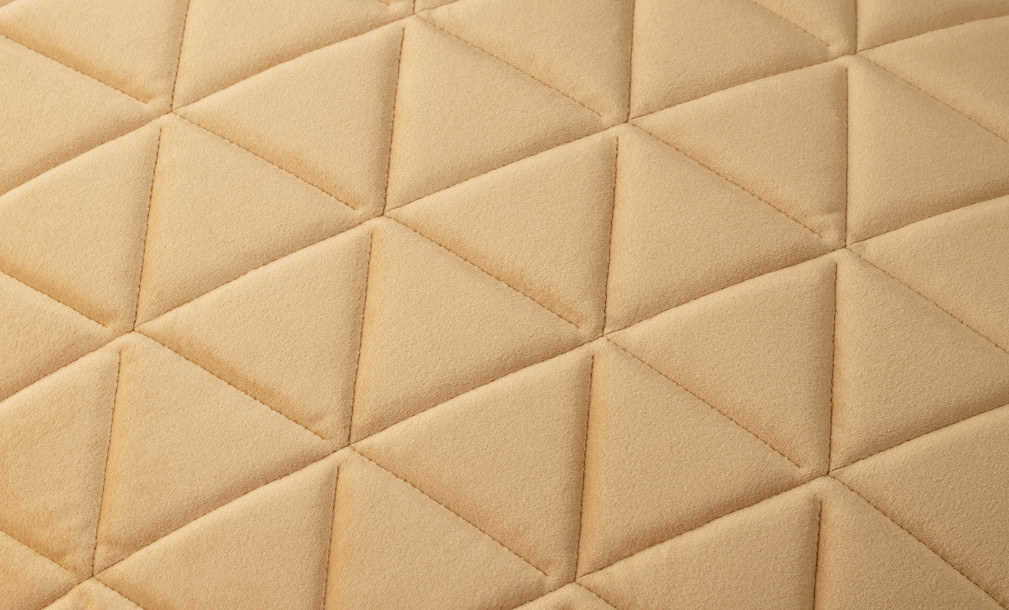 Fortune Cushion