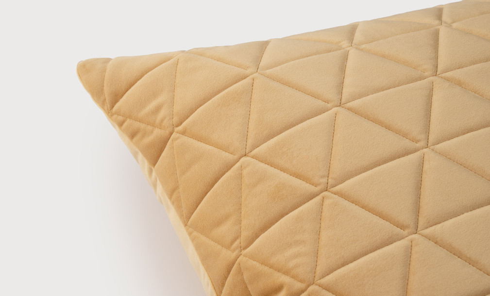 Fortune Cushion