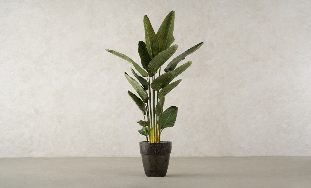 Artificial Traveler Banana Tree, H 180 cm