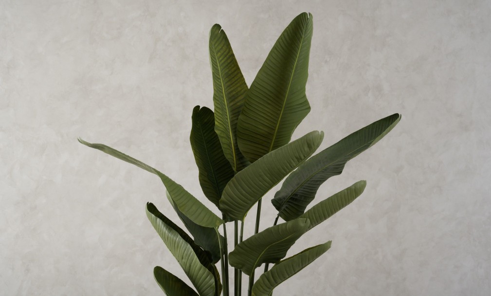 Artificial Traveler Banana Tree, H 180 cm