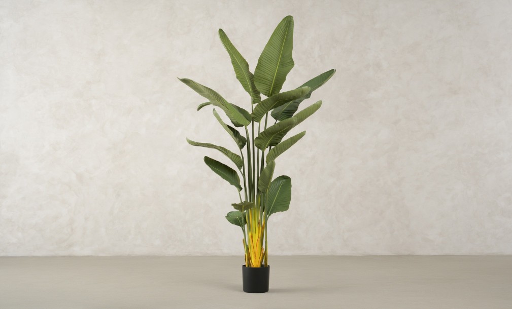 Artificial Traveler Banana Tree, H 180 cm