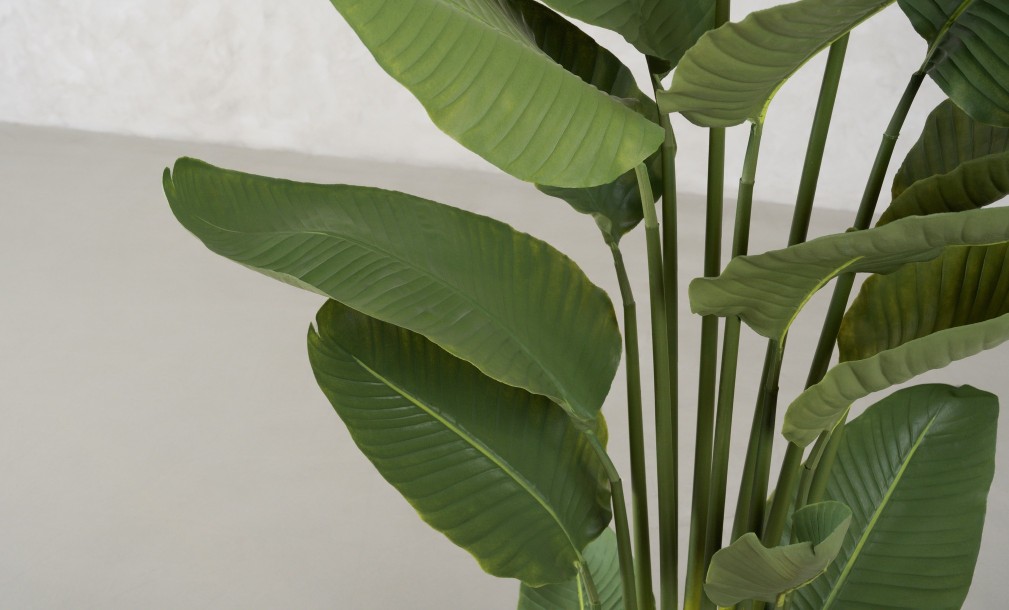 Artificial Traveler Banana Tree, H 180 cm