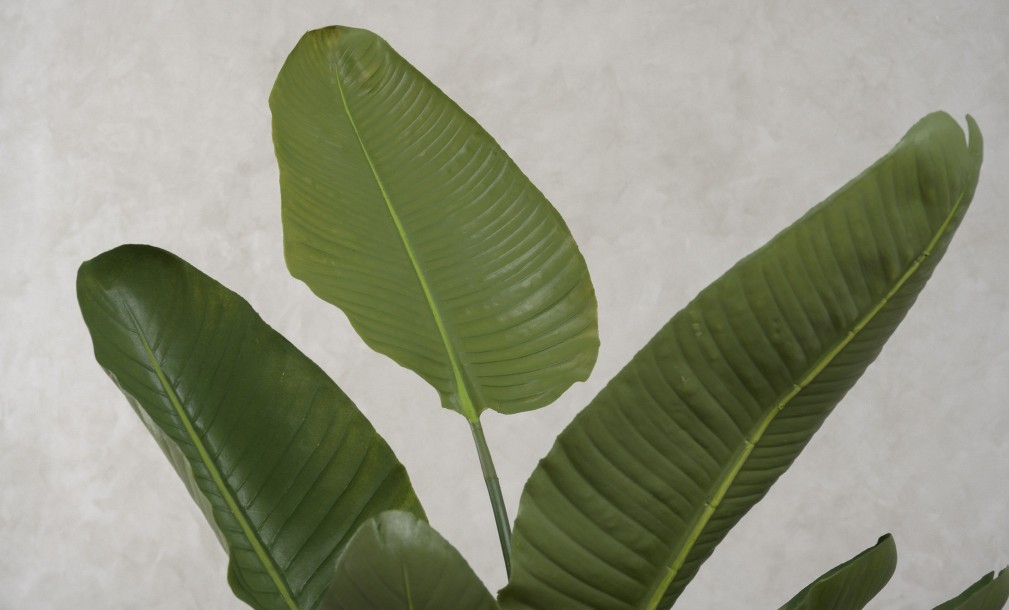 Artificial Traveler Banana Tree, H 120 cm