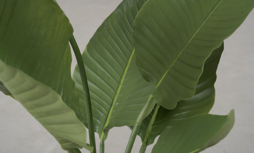 Artificial Traveler Banana Tree, H 120 cm