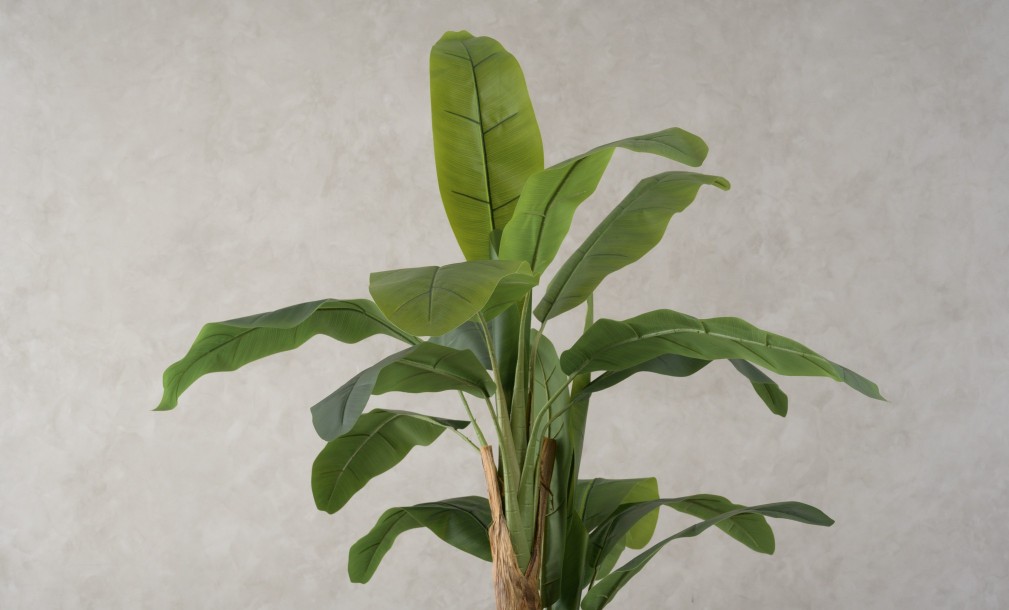Artificial Banana Tree, H 205 cm