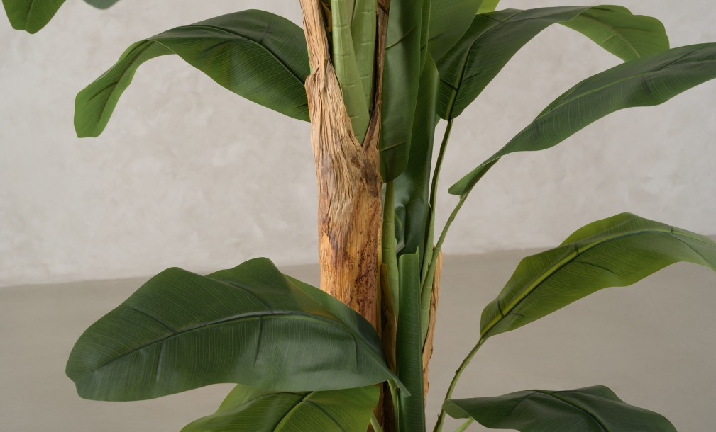 Artificial Banana Tree, H 205 cm