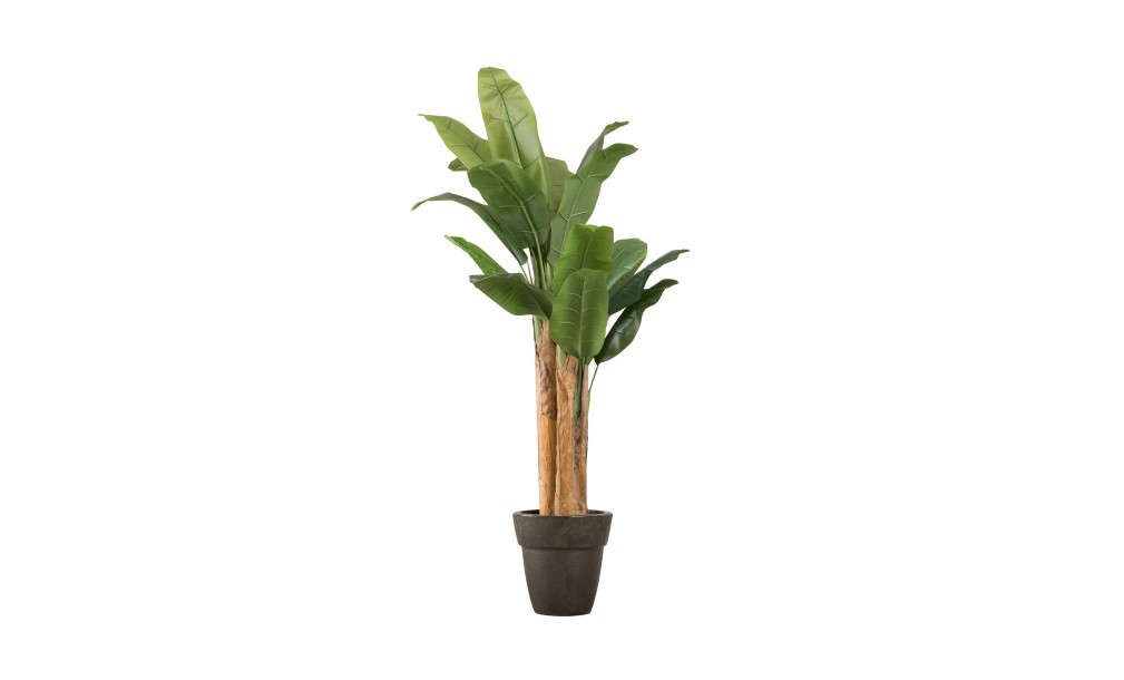 Artificial Banana Tree, H 150 cm