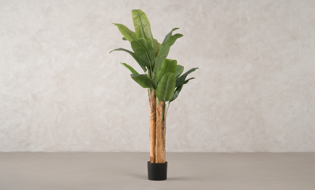 Artificial Banana Tree, H 150 cm