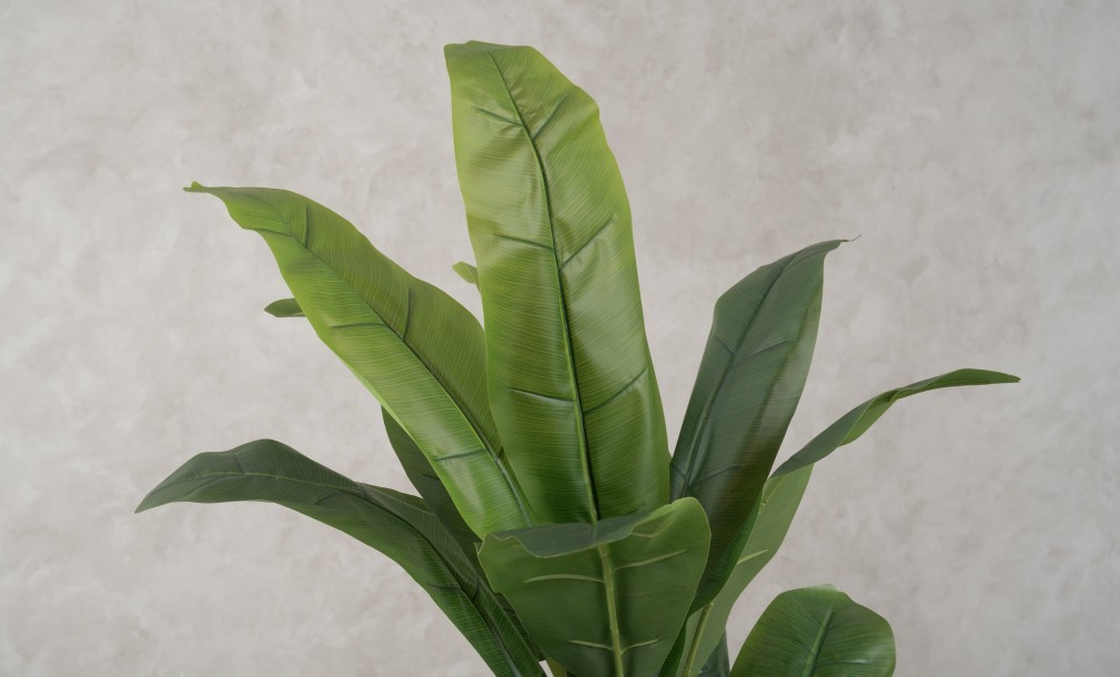 Artificial Banana Tree, H 150 cm