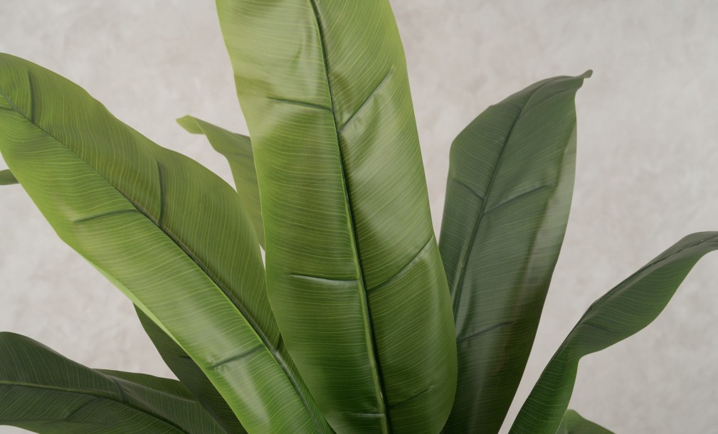 Artificial Banana Tree, H 150 cm