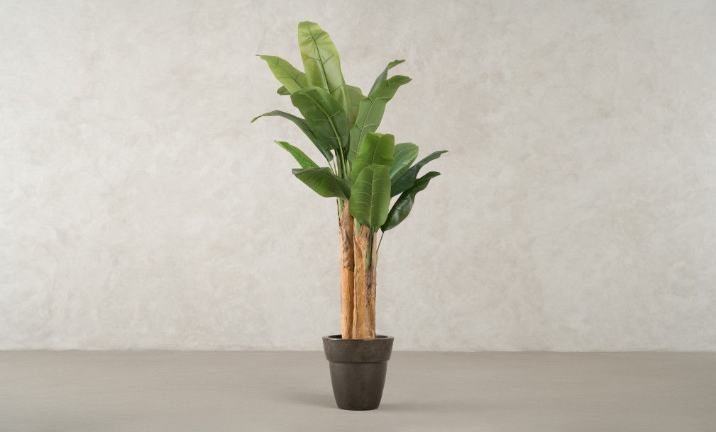 Artificial Banana Tree, H 150 cm