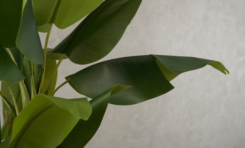 Artificial Banana Tree, H 220 cm