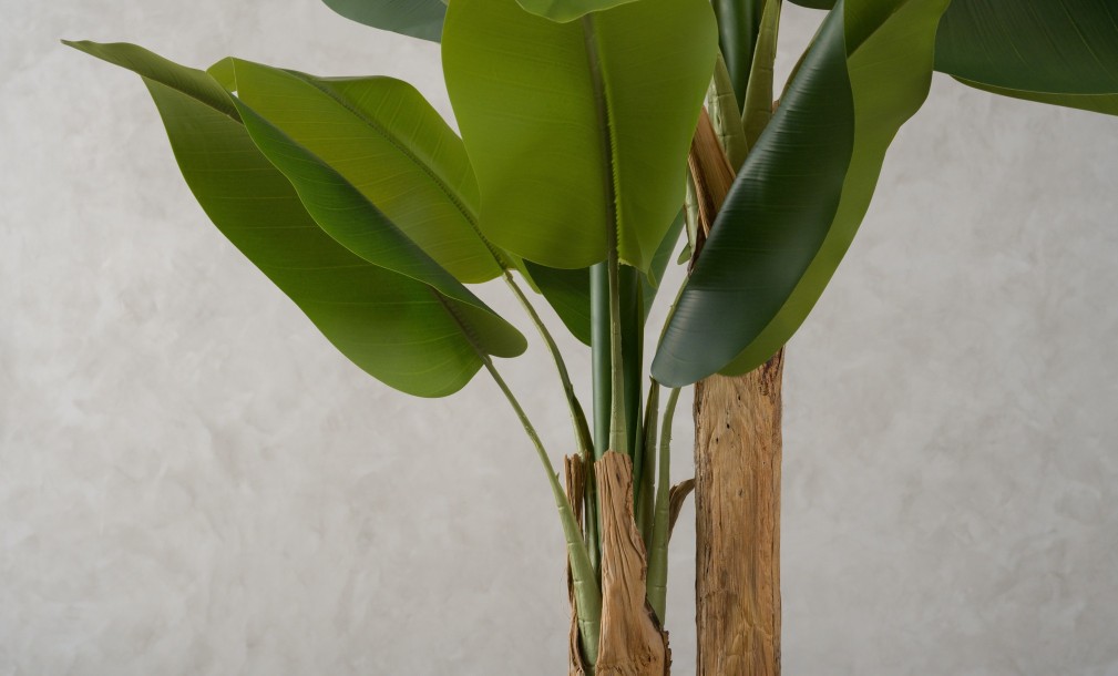 Artificial Banana Tree, H 220 cm